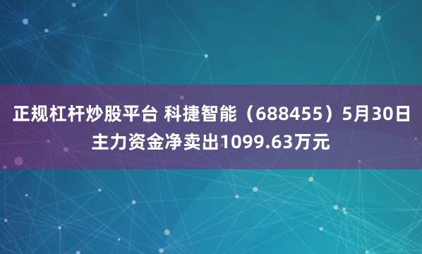 正规杠杆炒股平台 科捷智能（688455）5月30日主力资金净卖出1099.63万元