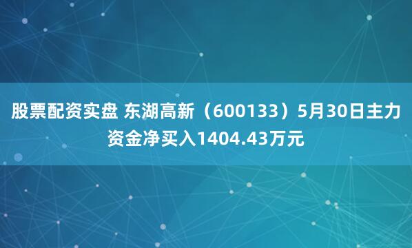 股票配资实盘 东湖高新（600133）5月30日主力资金净买入1404.43万元