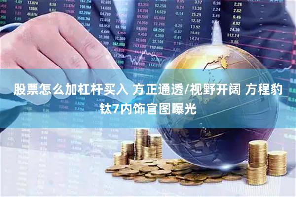 股票怎么加杠杆买入 方正通透/视野开阔 方程豹钛7内饰官图曝光